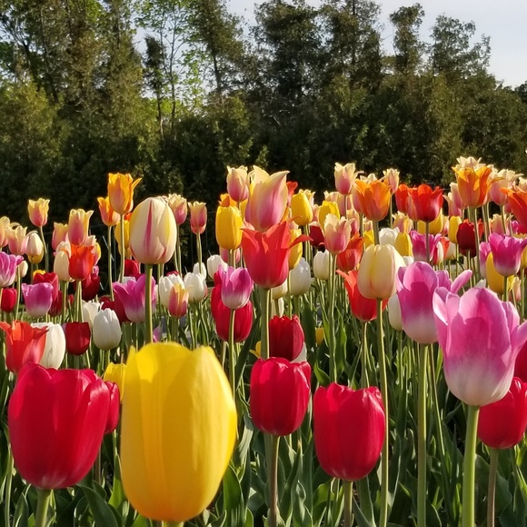 Meet your Posher, Katie - Picture 2 of 2